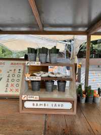 宜蘭景點/斑比山丘 Bambi Landi🦌