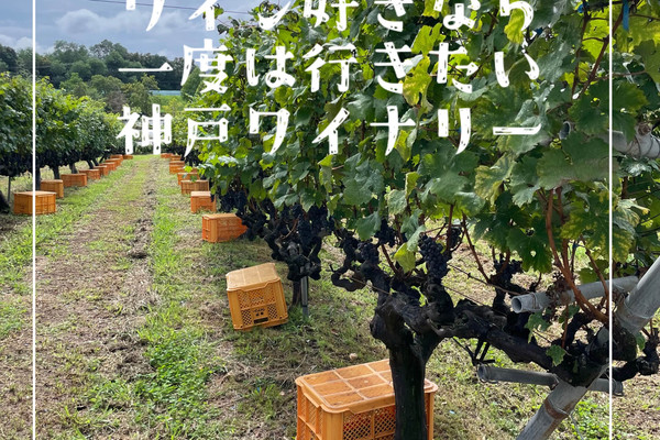 兵庫県】ワイン好きなら一度は行きたい神戸ワイナリー | Trip