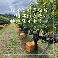 【兵庫県】ワイン好きなら一度は行きたい神戸ワイナリー