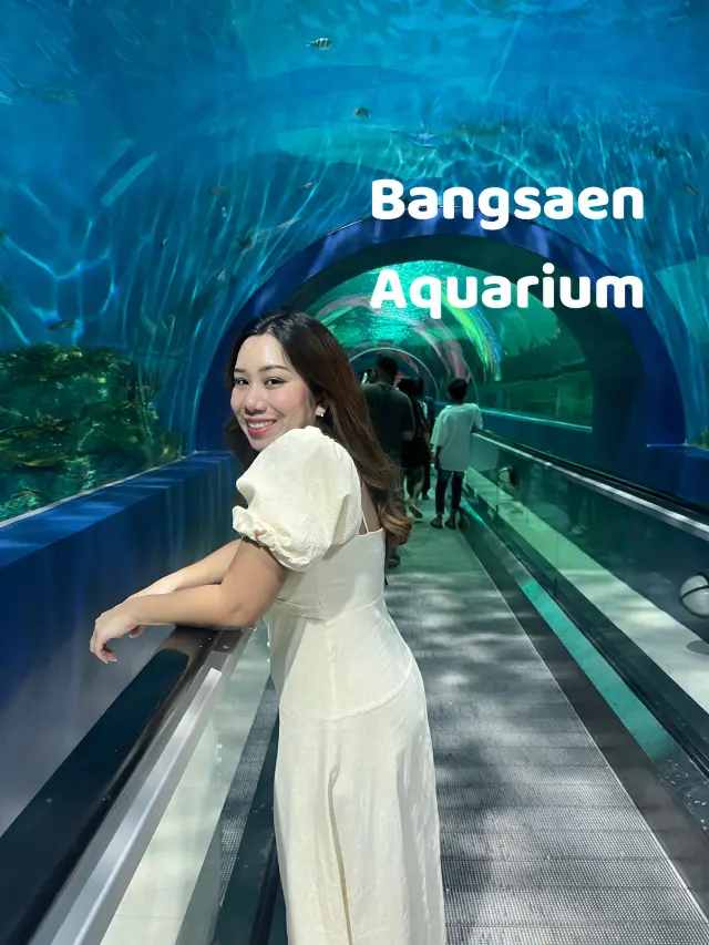 Bangsaen Aquarium 🐠