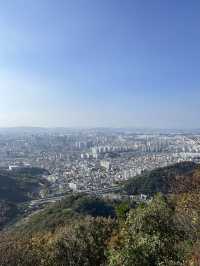 단풍구경하며 모노레일 탈 수 있는 여행지