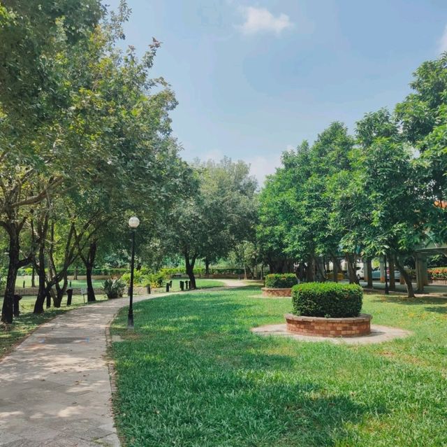 優美的市區隱身秘境-阿里山林業村