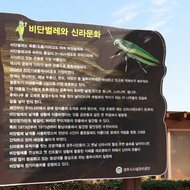 경주가면 꼭 가봐야하는 첨성대 ! 