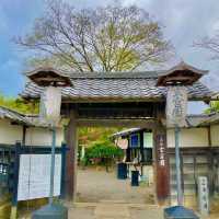 Serene Splendor: Genkyuen's Edo Elegance