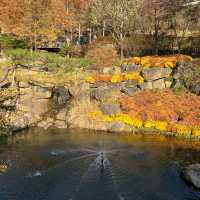 Hwadam Forest: The Backyard We All Want! 
