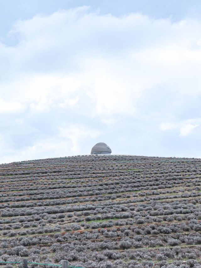 【北海道】ここほんとに日本！？海外のような景色が広がるスポット🗿🌏