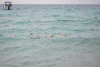  One day trip | I Love Koh Larn | หาดเทียน เกาะล้าน