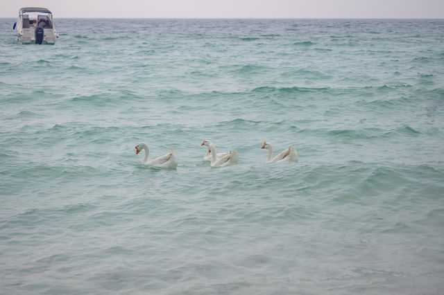  One day trip | I Love Koh Larn | หาดเทียน เกาะล้าน