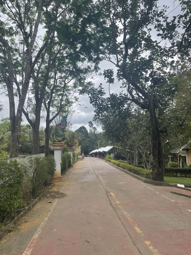 พุทธอุทยานวังน้ำเขียว🙏🏻