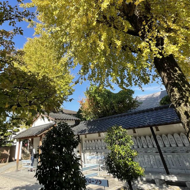 【福岡】筥崎宮参拝の際に