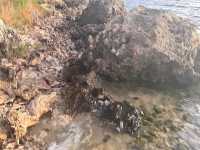Jenalup Beach, Blackwall Reach Cliffs