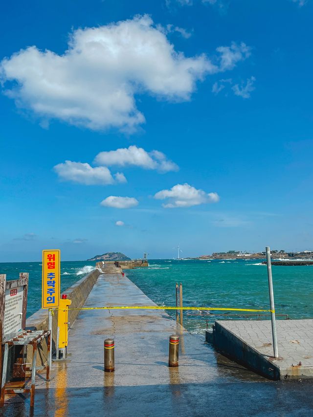 신창풍차해안도로를 달리다 잠시 차에 내려서 볼 수 있는 풍경 ‘판포포구’ 🌊 