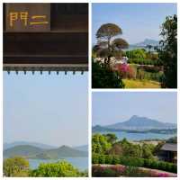 期間限定:賞許願藤🪻@慈山寺