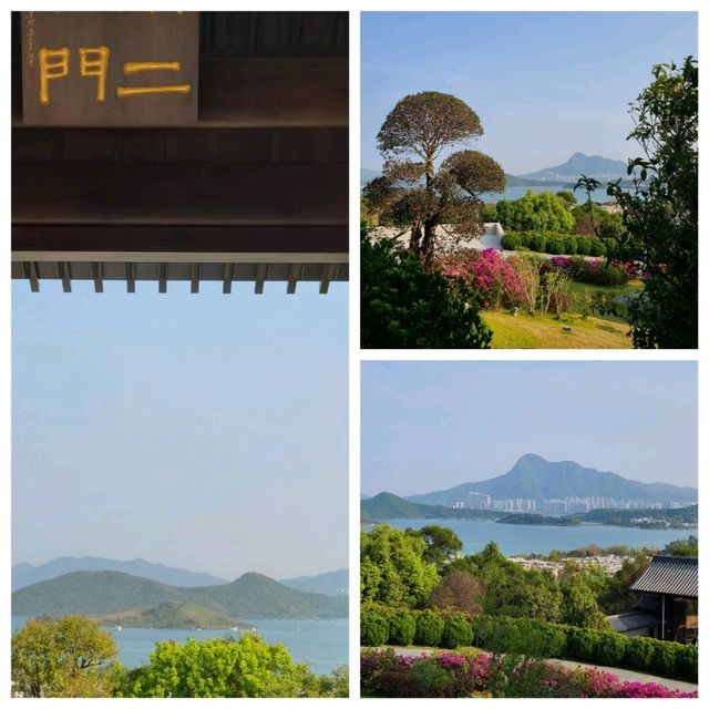 期間限定:賞許願藤🪻@慈山寺