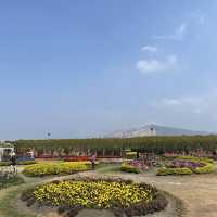 Zhongshe Flower Market, Taichung