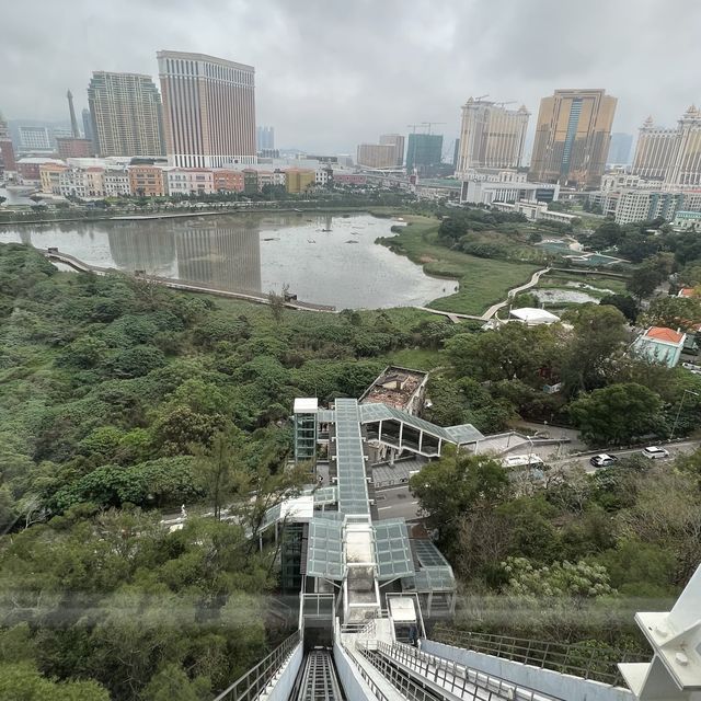 Inclined and Panoramic views