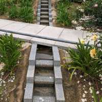 中之島バラ園、散り始めた薔薇も有り、それはそれで風情が有って良い。