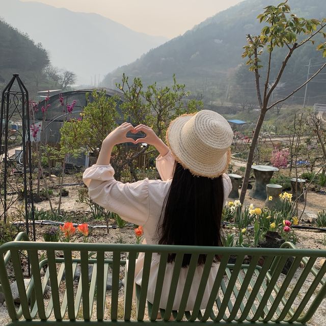 현실판 리틀포레스트 청도 독채펜션
