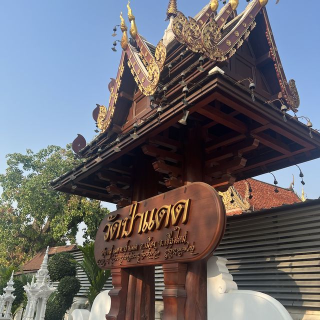 วัดป่าแดด เชียงใหม่ ⛩️ วัดป่าแดด เชียงใหม่ ⛩️