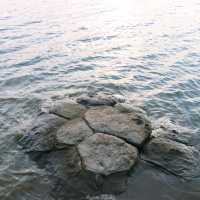 หาดหิน เขื่อนลำปาว