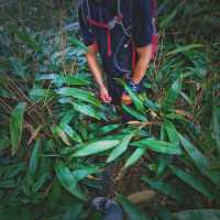 "Ancient Footsteps: "Along the Wuyue Trail"