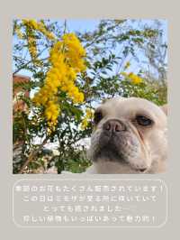 【川崎】インスタ映え抜群なお花屋さん🌼
