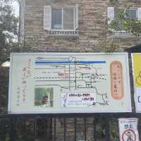 เดินเที่ยวป่าไผ่ Arashiyama Bamboo เมืองเกียวโต
