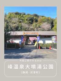 【静岡】わんこと行ける温泉公園♨️