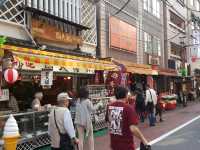 Traditional Shopping Street in Tokyo, Sugamo