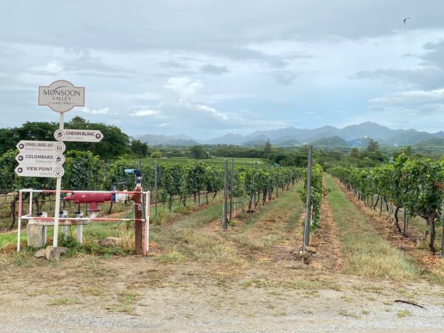 🇹🇭葡萄酒莊園🍇🍷