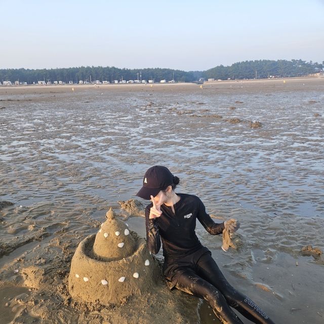여름하면 캠핑!🏕️ 반려견과 함께하는 ‘몽산포청솔오토캠핑장’