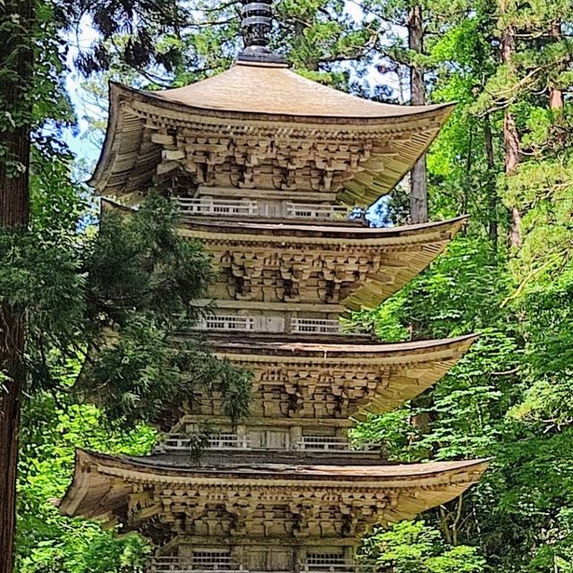 Haguro shrine ⛩️🕋🙏