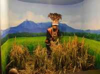 Muzium Adat ✨