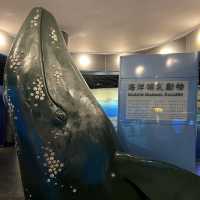 屏東景點-國立海洋生物博物館