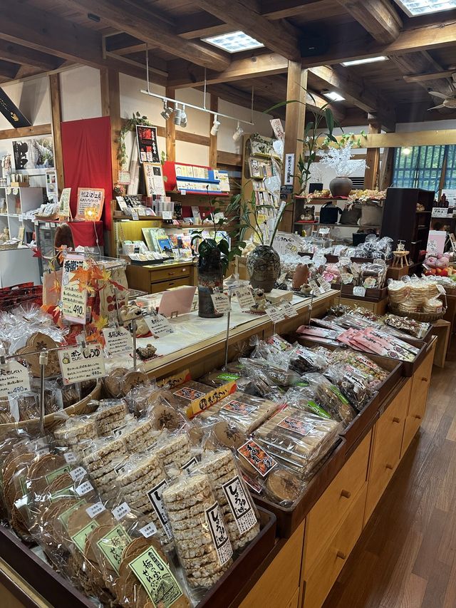 《愛知旅行》 おすすめ観光スポット🚩香嵐渓!