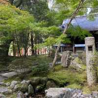  🎌禪意浸潤的日式寺院🎌 醍醐寺🎌