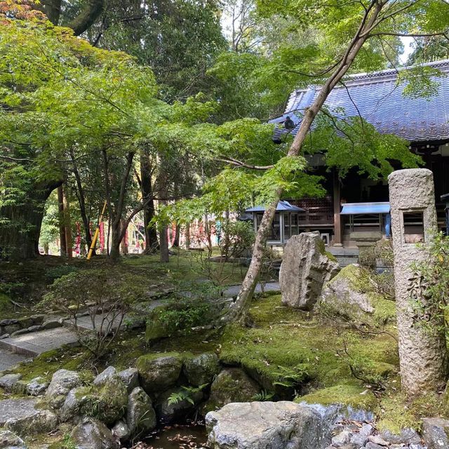 🎌禪意浸潤的日式寺院🎌 醍醐寺🎌