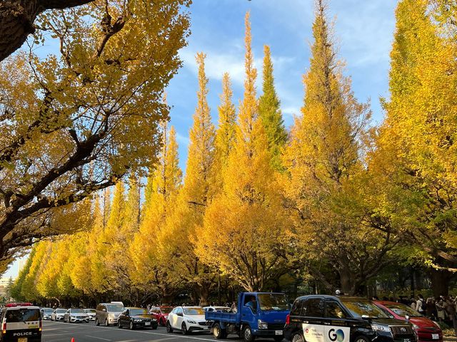 Autumn In Tokyo