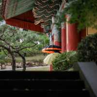 The original beauty of Bulguksa Temple