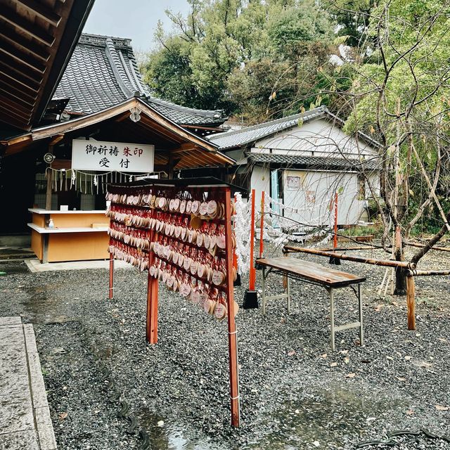 【京都府】桜の名所　平野神社