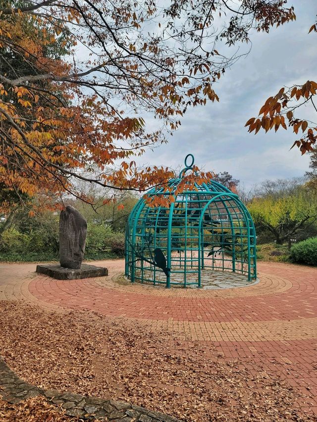 아직은 보내기 싫은 늦가을 즐기기🍁