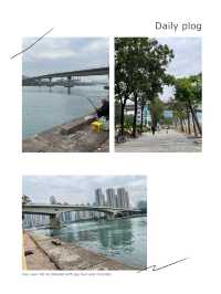 「青衣海濱長廊：舒適環境，適合散步和跑步」