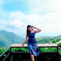 ไปรับลมหนาว ที่ภูทับเบิก