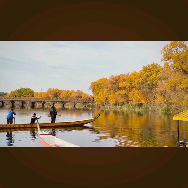 巴楚縣胡楊林秋天盛宴，紅海景區金光爛美不勝收