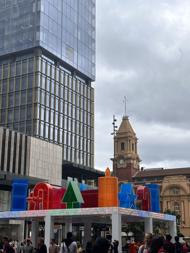 Christmas Decoration Hunting in Auckland