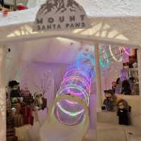 聖誕好去處🎄@Mount Santa Paws
