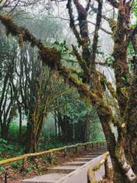 อุทยานแห่งชาติดอยอินทนนท์ , เชียงใหม่