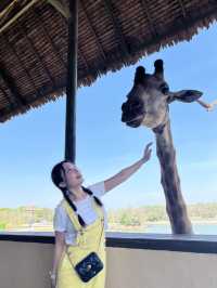 เที่ยวกรุงเทพ One Day Trip สวนสัตว์ ซาฟารีเวิลด์ 