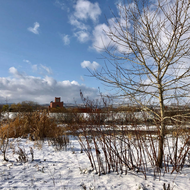 Winter's Charm: Asahikawa Splendor Rediscover