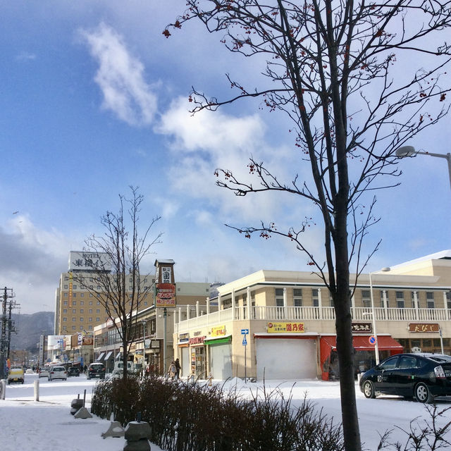 Hokkaido's Culinary Marvel: Market Memoir